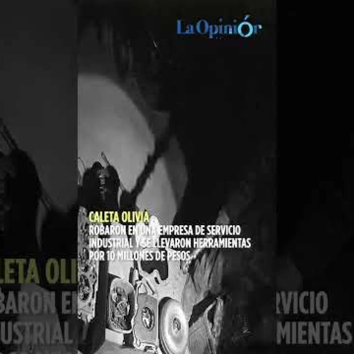 Robaron en una empresa, los escracharon y ofrecen una recompensa millonaria por encontrarlos