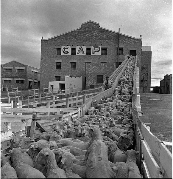  Obra inédita de Annemarie Heinrich.