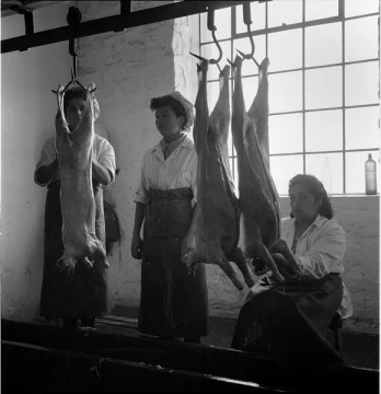 BIENALSUR 2025: “Reconstruir Memoria” confirmó su fecha de inauguración en Punta Arenas