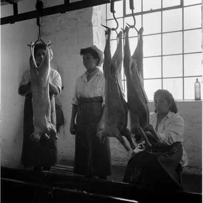 BIENALSUR 2025: “Reconstruir Memoria” confirmó su fecha de inauguración en Punta Arenas