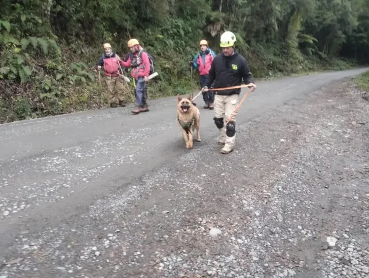 Busqueda-Carlos-Ancapichun-1-728x548 Busqueda-Carlos-Ancapichun-1-728x548