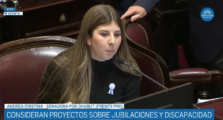 EN VIVO: El Senado debate proyectos clave que enfrenta al Gobierno con la oposición