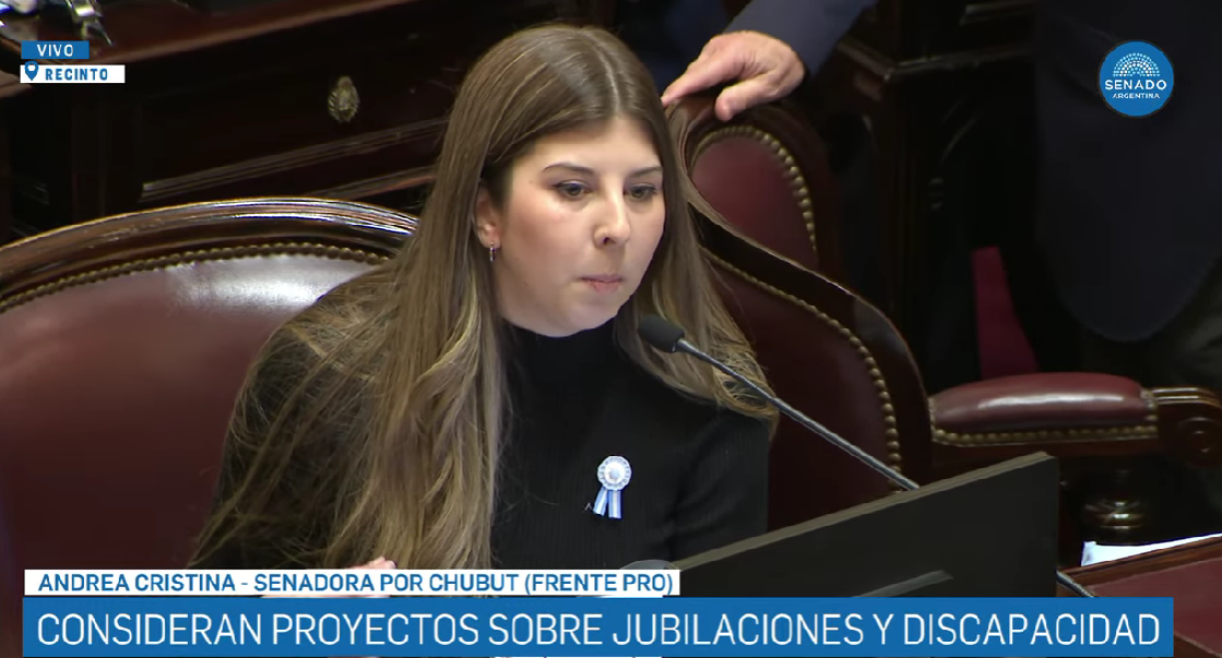 EN VIVO: El Senado debate proyectos clave que enfrenta al Gobierno con la oposición