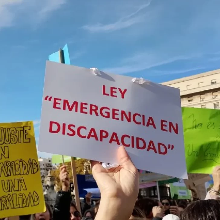 No hay dos sin tres: los senadores también aprobaron la emergencia en discapacidad No hay dos sin tres: los senadores también aprobaron la emergencia en discapacidad
