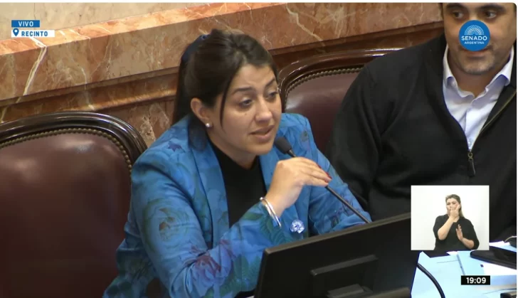  Natalia Gadano, senadora por la provincia de Santa Cruz, autora del proyecto.