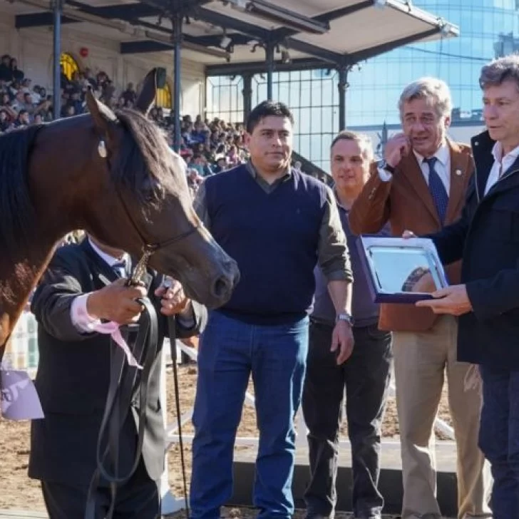 Claudio Vidal: el único gobernador que entregó dos premios en la Rural Claudio Vidal: el único gobernador que entregó dos premios en la Rural