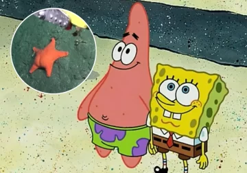 Científicos “encontraron” a Patricio Estrella en el Mar Argentino y el video se volvió viral Científicos “encontraron” a Patricio Estrella en el Mar Argentino y el video se volvió viral