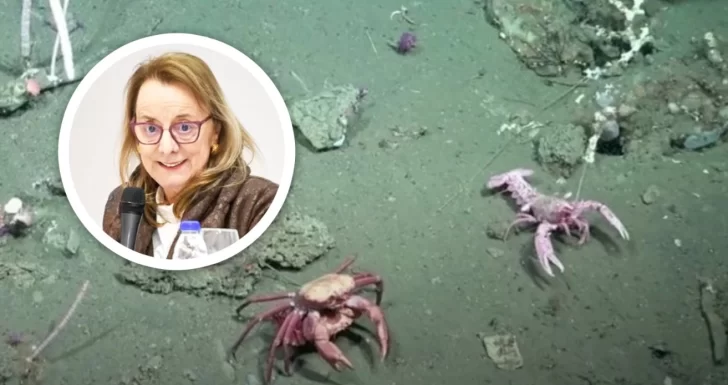 Alicia Kirchner, otra fanática de la trasmisión en vivo del CONICET