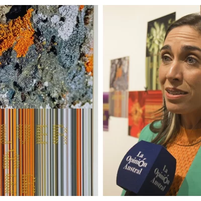 “Volver a ser-Liquen” de la santacruceña Emilia Majorel en el salón del Centro Argentino de Arte Textil