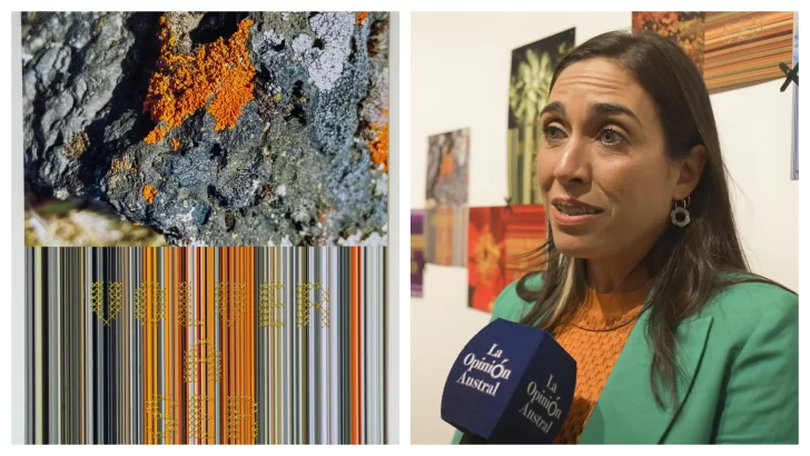 “Volver a ser-Liquen” de la santacruceña Emilia Majorel en el salón del Centro Argentino de Arte Textil