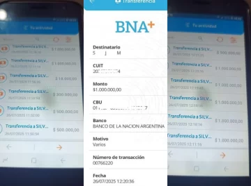 Denunció a su sobrino por estafar a su madre con demencia: el hombre se transfirió casi 7 millones de pesos Denunció a su sobrino por estafar a su madre con demencia: el hombre se transfirió casi 7 millones de pesos