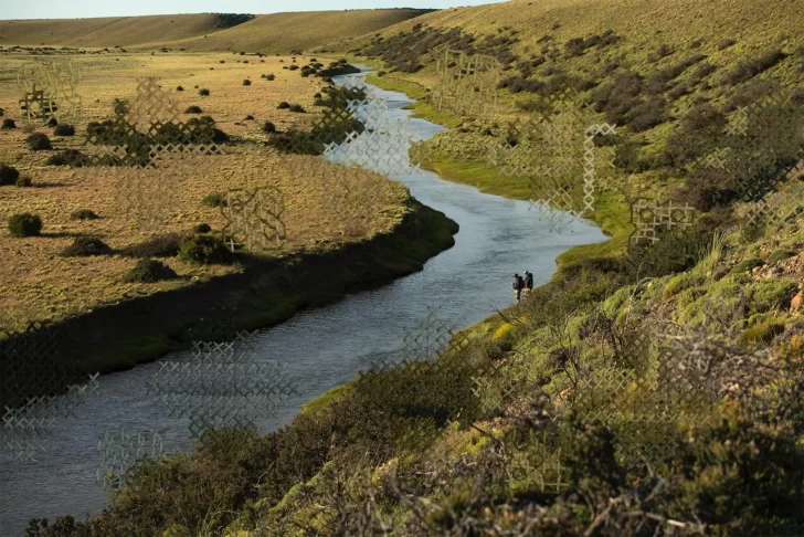 ESTEPARIA-EMILIA-MAJOREL-2020-728x486