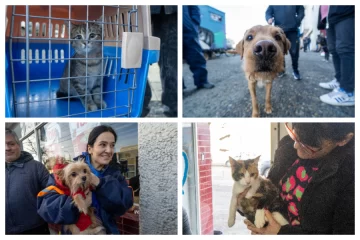 ¡Guau, qué éxito!: se realizó jornada de vacunación de mascotas en La Opinión Austral ¡Guau, qué éxito!: se realizó jornada de vacunación de mascotas en La Opinión Austral