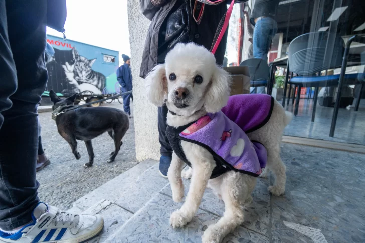 Fotogalería