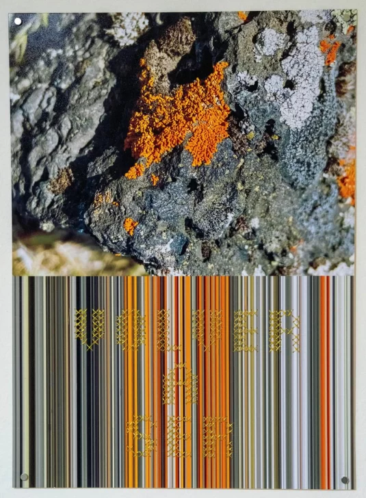 LIQUEN-EMILIA-MAJOREL-CAAT-535x728