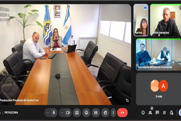  La ministra de la Producción, Nadia Ricci, junto con Paulo Lunzevich en reunión con sus pares patagónicos.