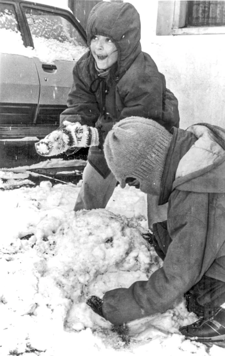 NEVADA-DEL-95-LOA-8-459x728 NEVADA-DEL-95-LOA-8-459x728