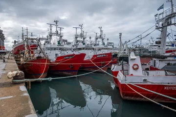 Langostino: Este lunes habrá encuentro clave buscando dejar atrás el conflicto pesquero Langostino: Este lunes habrá encuentro clave buscando dejar atrás el conflicto pesquero