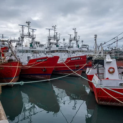 Langostino: Este lunes habrá encuentro clave buscando dejar atrás el conflicto pesquero