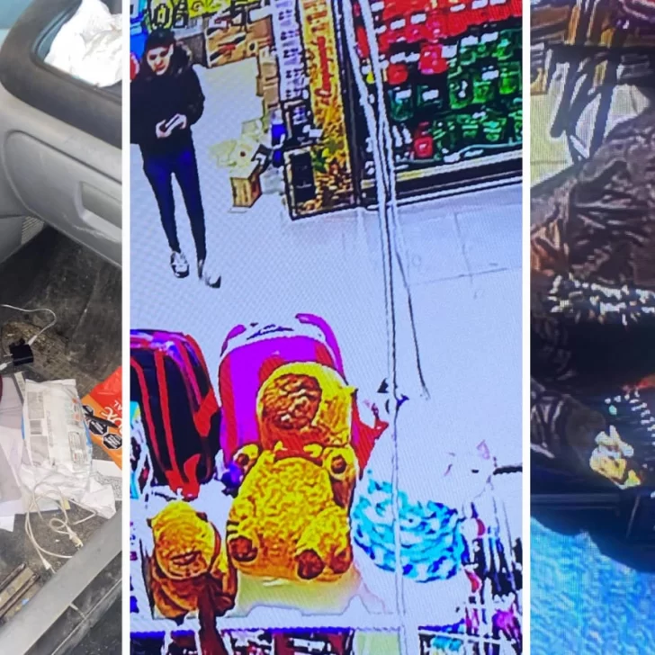 Una emprendedora de Caleta Olivia denunció a una mujer por robo y fue amenazada Una emprendedora de Caleta Olivia denunció a una mujer por robo y fue amenazada