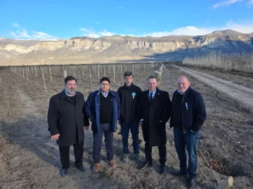 Vidal y el nuevo modelo productivo: trabajo, arraigo y economías regionales Vidal y el nuevo modelo productivo: trabajo, arraigo y economías regionales