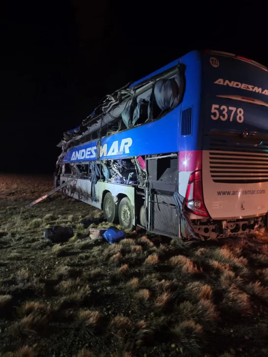 El Gobierno de Santa Cruz decretó dos días de duelo por el trágico choque con cuatro muertos en la ruta