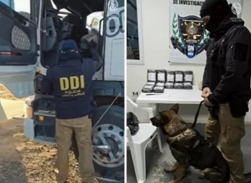 Mañana indagan al chofer detenido con un arma, dólares y 15 kilos de cocaína pura Mañana indagan al chofer detenido con un arma, dólares y 15 kilos de cocaína pura