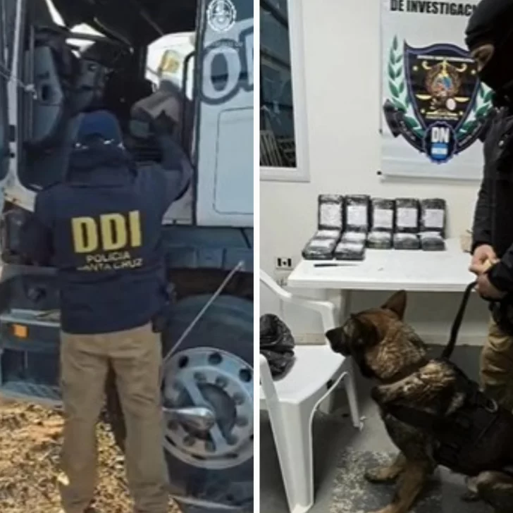 Mañana indagan al chofer detenido con un arma, dólares y 15 kilos de cocaína pura Mañana indagan al chofer detenido con un arma, dólares y 15 kilos de cocaína pura