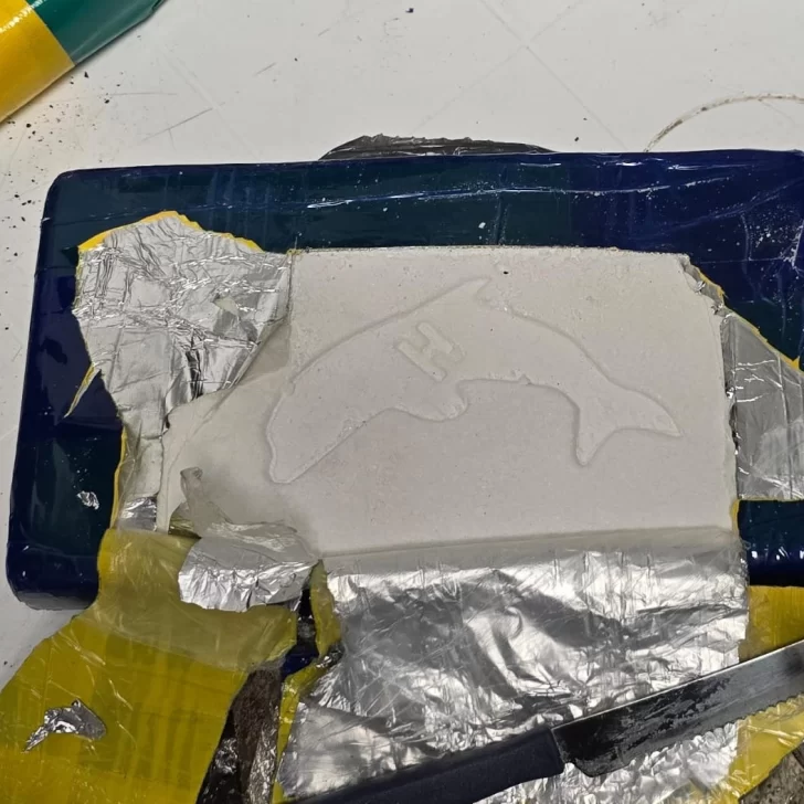 La historia detrás del camionero que estaba armado y le hallaron 15 kilos de cocaína en Caleta Olivia La historia detrás del camionero que estaba armado y le hallaron 15 kilos de cocaína en Caleta Olivia