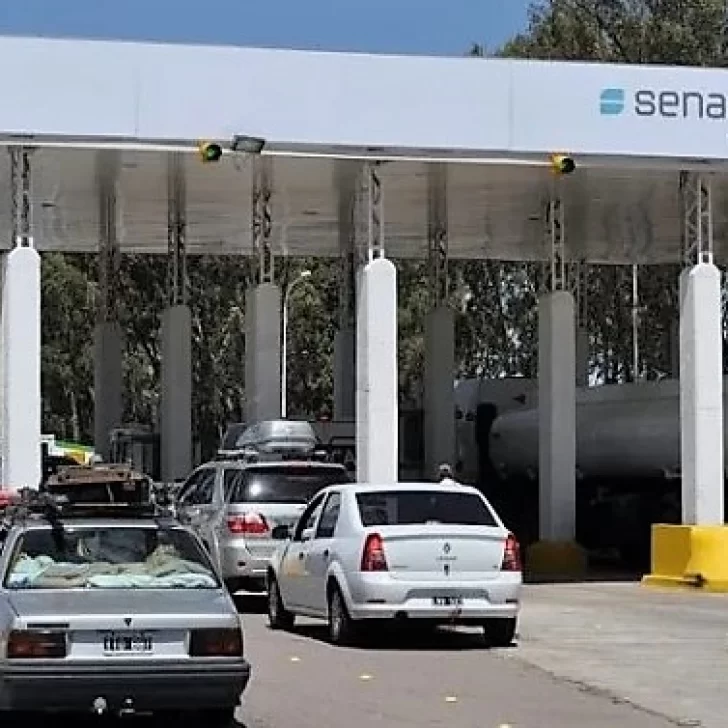 Barrera Sanitaria: la Mesa de Enlace le expresó su preocupación al presidente Milei Barrera Sanitaria: la Mesa de Enlace le expresó su preocupación al presidente Milei