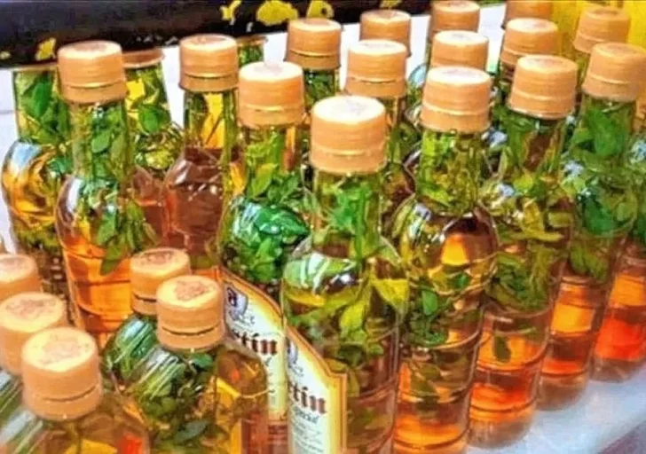 beneficios-cana-con-ruda-728x512