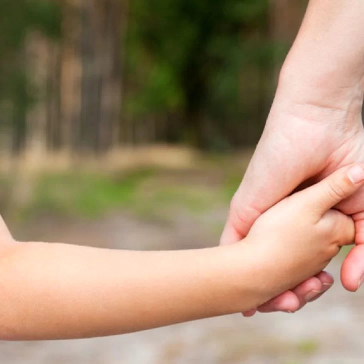 Buscan familias que puedan recibir transitoriamente a dos niños Buscan familias que puedan recibir transitoriamente a dos niños