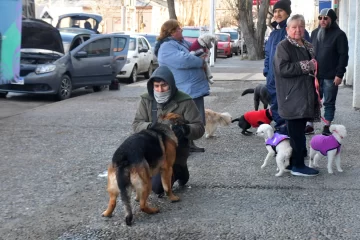 Así se vivió la jornada gratuita de vacunación antirrábica y desparasitación en La Opinión Austral Así se vivió la jornada gratuita de vacunación antirrábica y desparasitación en La Opinión Austral