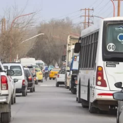 Una ciudad patagónica usará inteligencia artificial para ordenar el caos vehicular: ¿de qué se trata? 