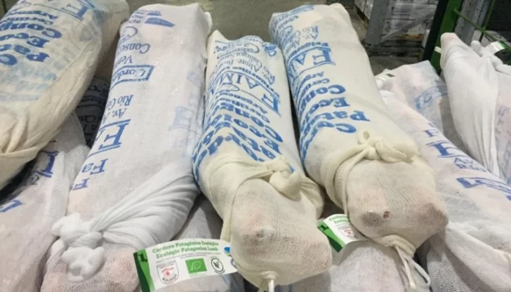 cordero-patagonico-728x416 cordero-patagonico-728x416