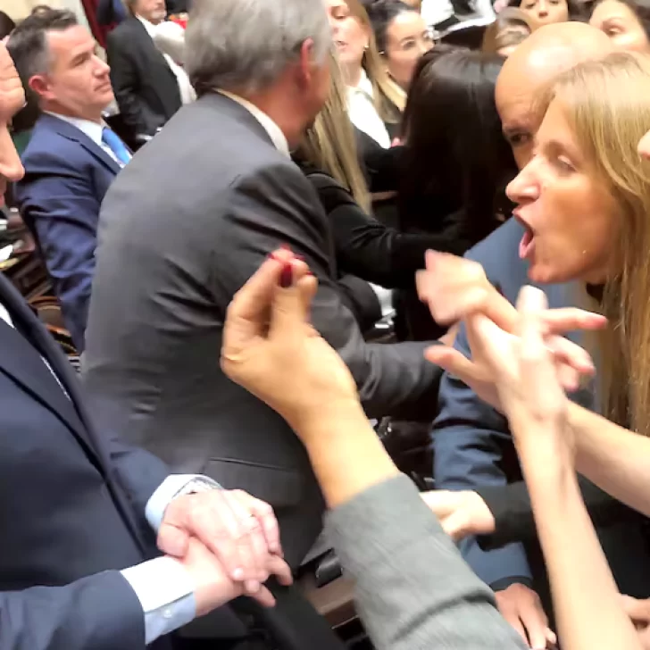 Escándalo en Diputados: funcionarios kirchneristas increparon a Espert y la sesión terminó entre insultos y empujones