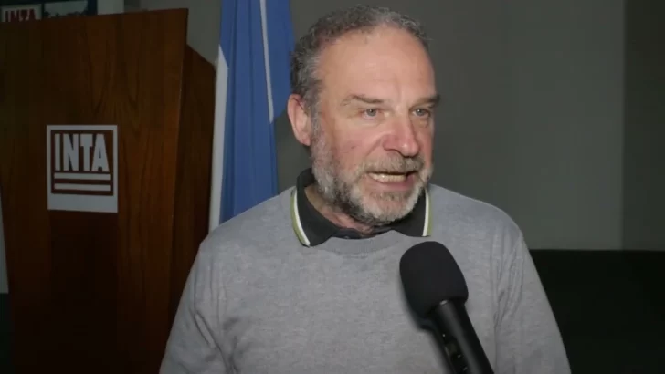 Ingreso de carne con hueso: “Si esto continúa, se va a generar un problema muy serio en los productores”