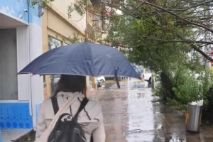 Clima en Río Gallegos: pronóstico del tiempo para este jueves 12 de febrero de 2026