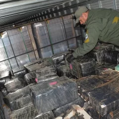 Interceptaron un camión proveniente de Paraguay que se dirigía a Chile con 1.500 kilos de marihuana