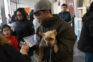 Jornada de vacunación de mascotas en La Opinión Austral: estos son los ganadores del sorteo para vecinos responsables Jornada de vacunación de mascotas en La Opinión Austral: estos son los ganadores del sorteo para vecinos responsables