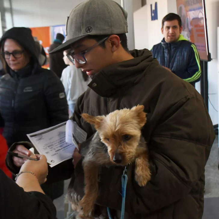 Jornada de vacunación de mascotas en La Opinión Austral: estos son los ganadores del sorteo para vecinos responsables Jornada de vacunación de mascotas en La Opinión Austral: estos son los ganadores del sorteo para vecinos responsables