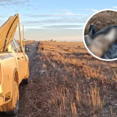 Indignación por hallazgo de un perro muerto en la Reserva Costera Urbana: “Una terrible falta de comprensión de la vida animal”