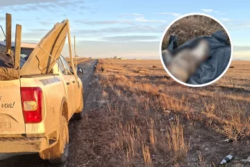 Indignación por hallazgo de un perro muerto en la Reserva Costera Urbana: “Una terrible falta de comprensión de la vida animal” Indignación por hallazgo de un perro muerto en la Reserva Costera Urbana: “Una terrible falta de comprensión de la vida animal”
