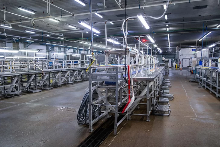  Las plantas de procesamiento del langostino permanecen inactivas en Chubut.