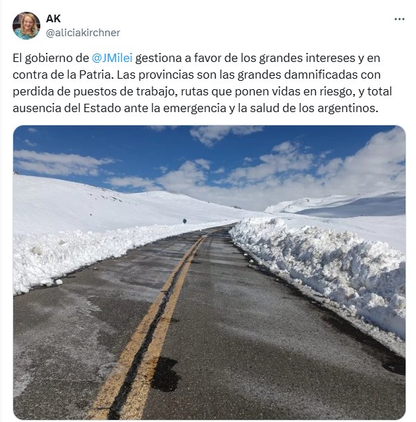  El posteo de la senadora con las críticas a la medida de Milei.