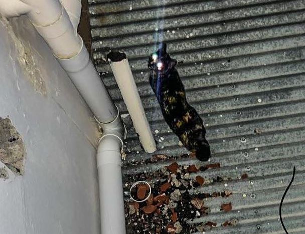 En Río Gallegos: un gato quedó atrapado en el techo de una casa y fue rescatado por bomberos