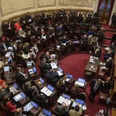 El Senado le puso freno a la motosierra de Javier Milei
