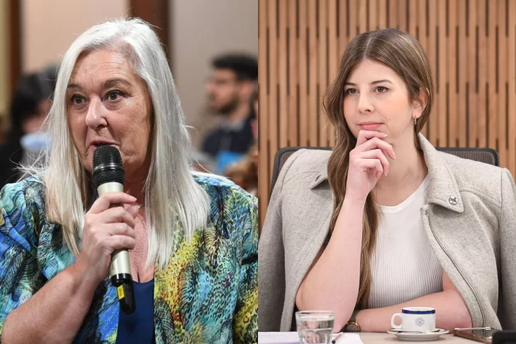 ¿El gobernador Ignacio Torres se desmarca?: los senadores de Chubut no votarían contra Milei el aumento a jubilados y la moratoria previsional