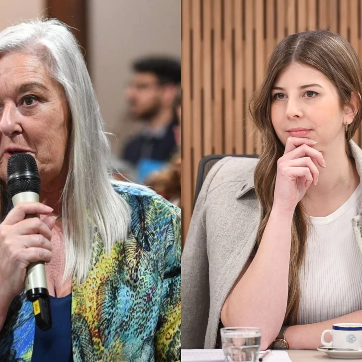 ¿El gobernador Ignacio Torres se desmarca?: los senadores de Chubut no votarían contra Milei el aumento a jubilados y la moratoria previsional ¿El gobernador Ignacio Torres se desmarca?: los senadores de Chubut no votarían contra Milei el aumento a jubilados y la moratoria previsional