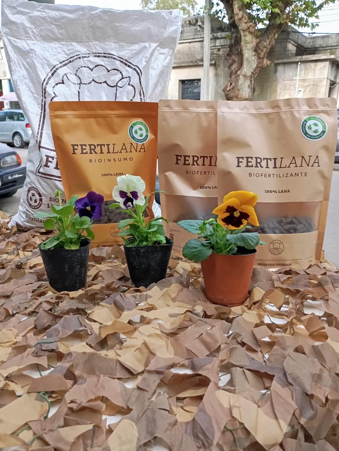  Los productos creados por la ingeniera agrónoma.